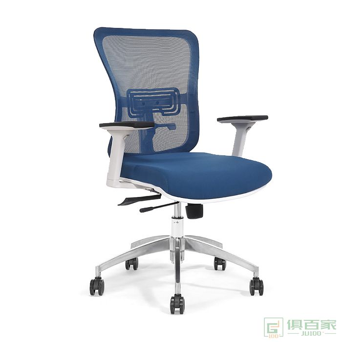 新越人体工学椅子靠背电脑椅家用书房职员椅转椅护腰办公椅电竞椅