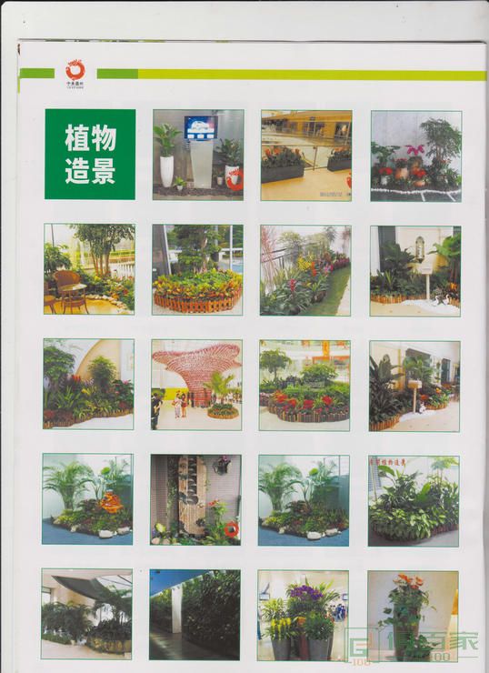 广州中熹园林绿化工程有限公司  