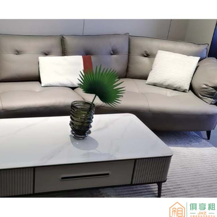 景尚家具住宅沙发系列环保羽绒高端科技布沙发